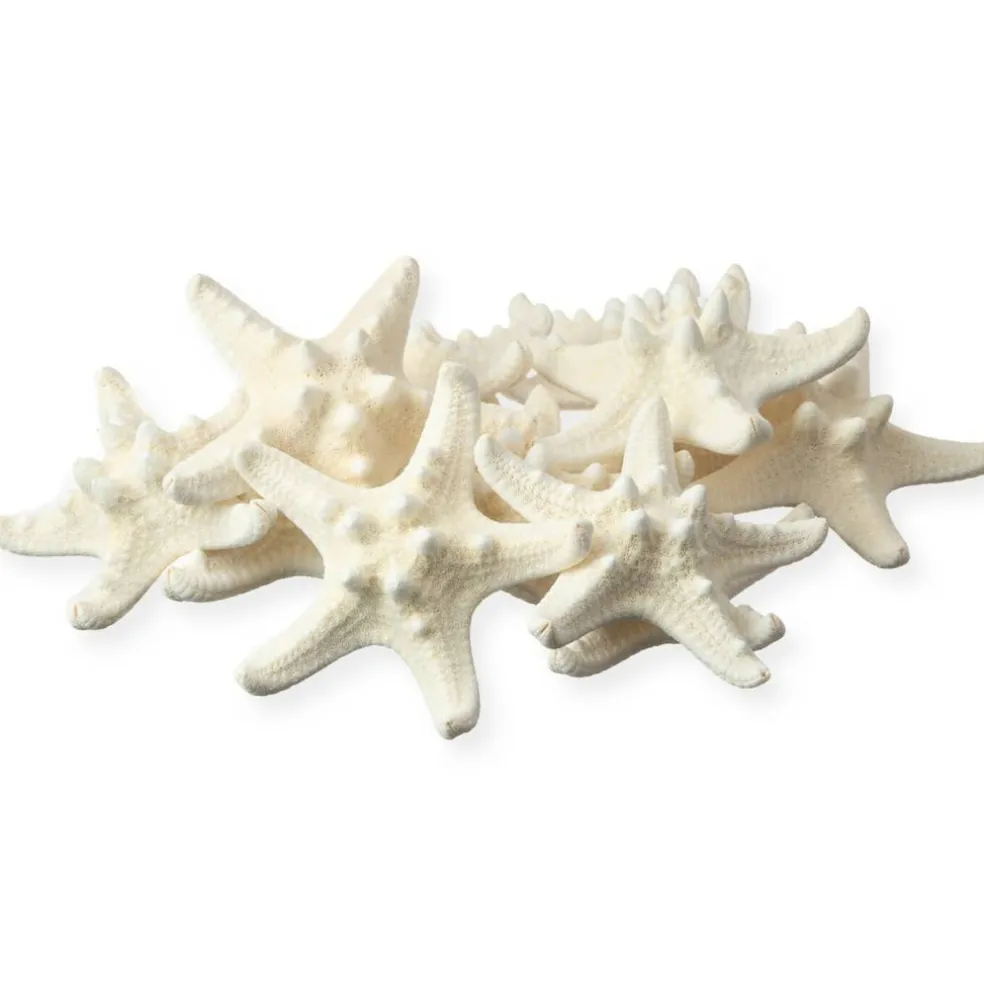 Starfish 12 Knobby White Satfish 1 1/4" to 2 1/4" for Crafts and Decor