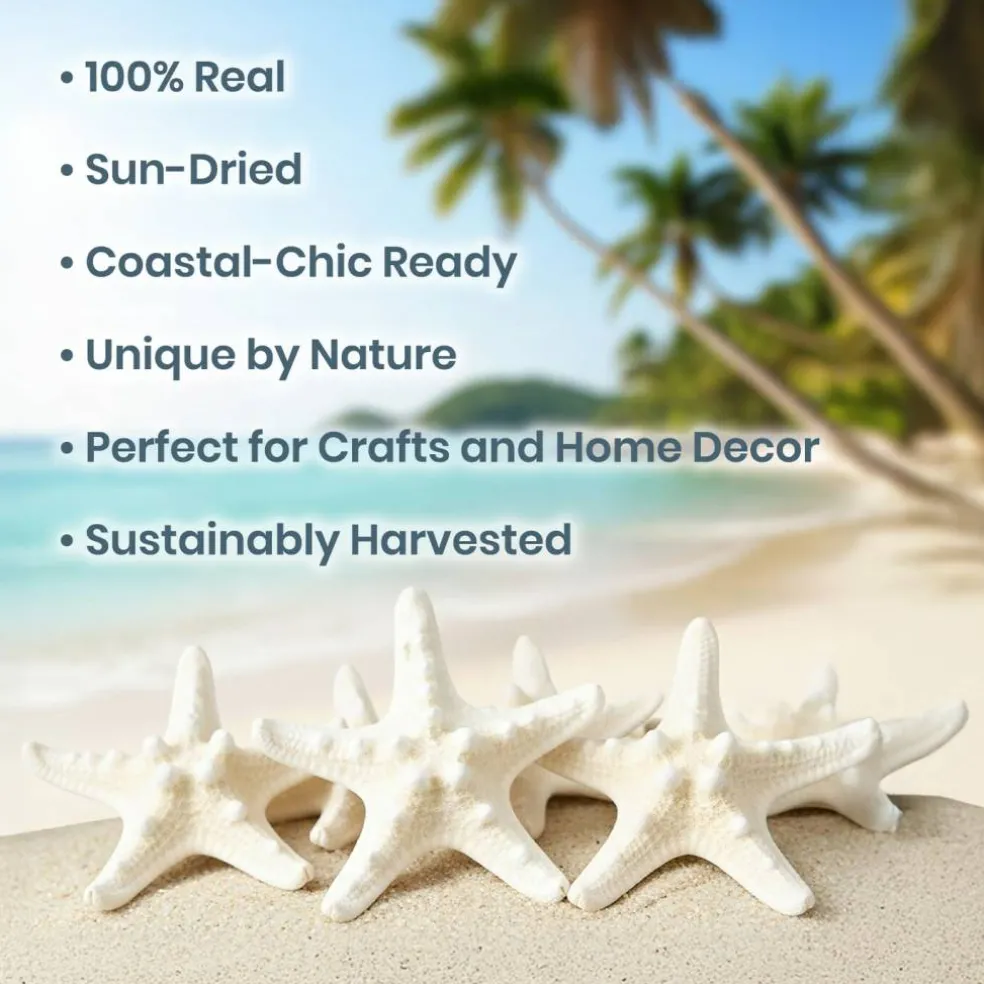Starfish 12 Knobby White Satfish 1 1/4" to 2 1/4" for Crafts and Decor