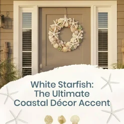 Starfish 10 Pack Large White Finger Starfish 6"-8" for Craft and Décor