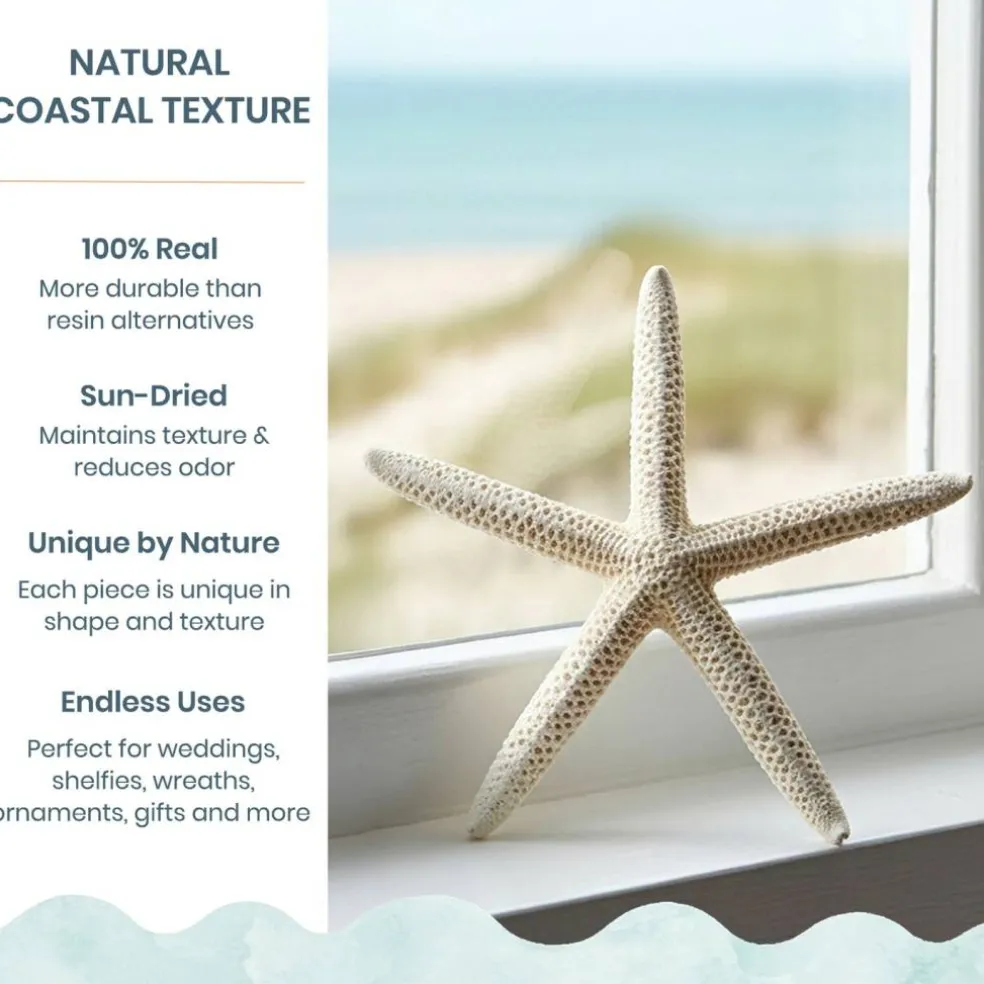 Starfish 10 Pack Large White Finger Starfish 6"-8" for Craft and Décor