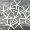 Starfish 10 Pack White Finger Starfish 4"-5" for Craft and Décor