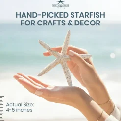 Starfish 10 Pack White Finger Starfish 4