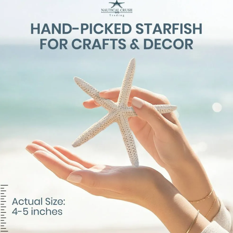 Starfish 10 Pack White Finger Starfish 4"-5" for Craft and Décor