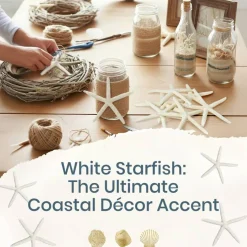 Starfish 10 Pack White Finger Starfish 4