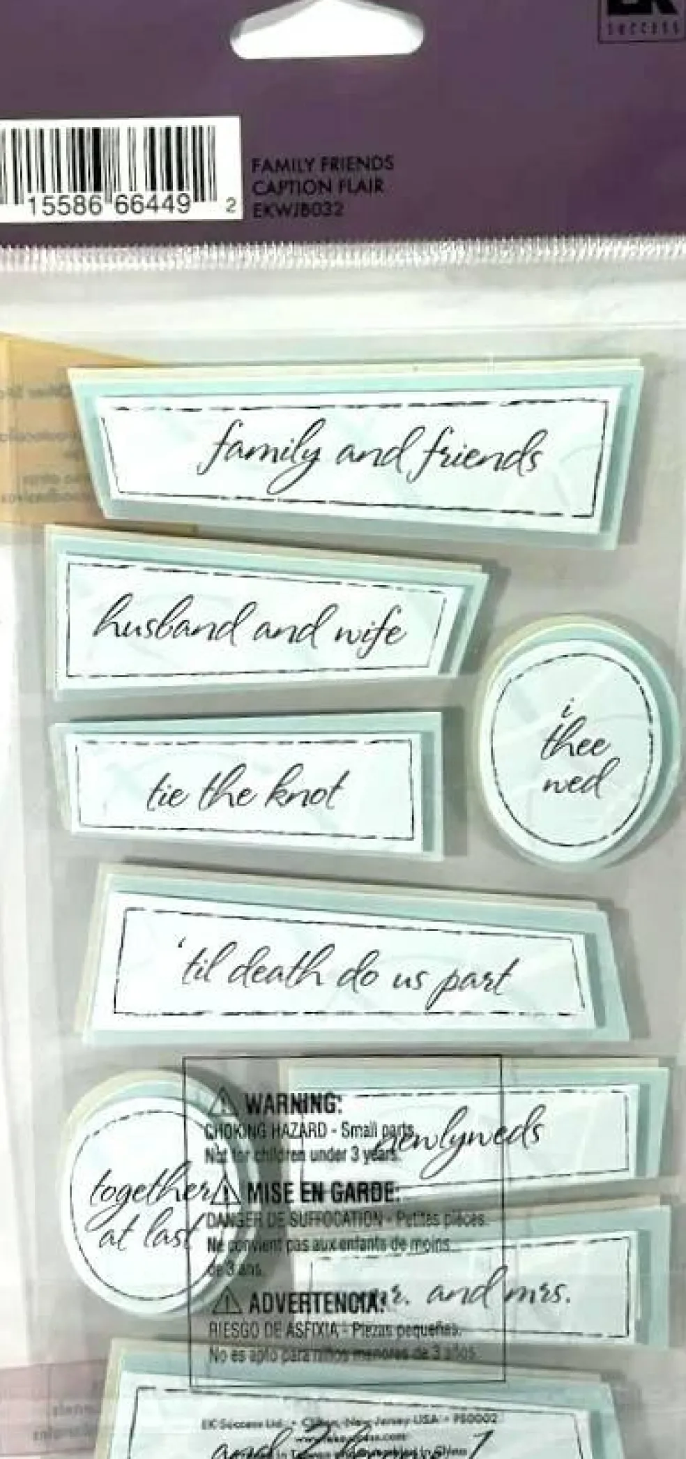 Sticko I Do Wedding Collection Family Friends Dimensional Stickers