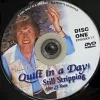 Still Stripping: 25th Anniversary Quilts DVD