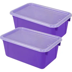 Storex Small Cubby Bin with Cover, 2ct.