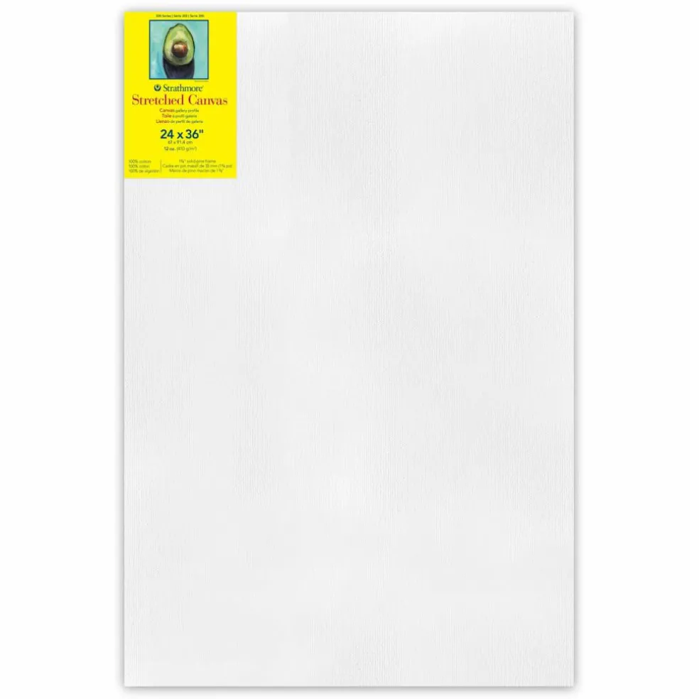Strathmore 300 Series Gallery Stretched Canvas