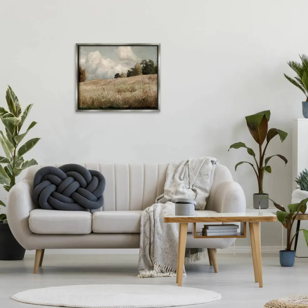 Stupell Industries Classic Cloudy Field Landscape Floater Framed Art