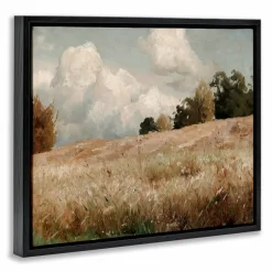 Stupell Industries Classic Cloudy Field Landscape Floater Framed Art