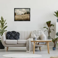 Stupell Industries Classic Cloudy Field Landscape Floater Framed Art