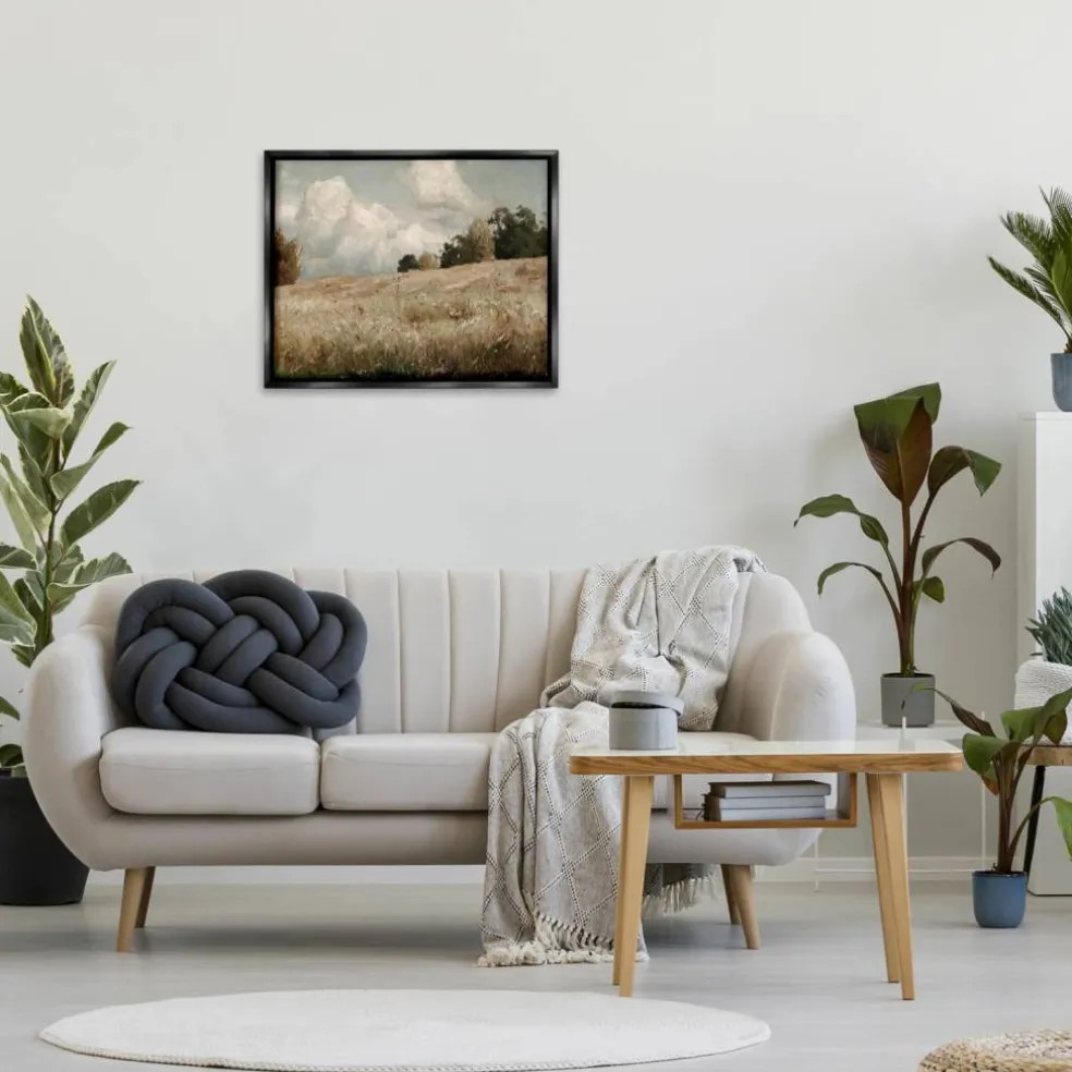 Stupell Industries Classic Cloudy Field Landscape Floater Framed Art