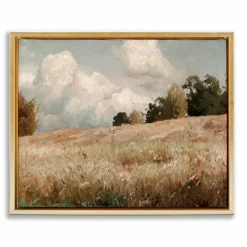 Stupell Industries Classic Cloudy Field Landscape Floater Framed Art