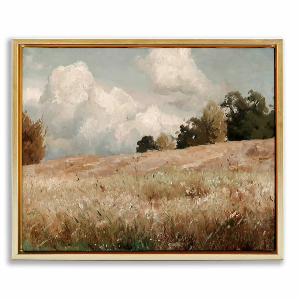 Stupell Industries Classic Cloudy Field Landscape Floater Framed Art