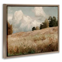 Stupell Industries Classic Cloudy Field Landscape Floater Framed Art