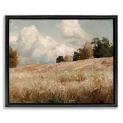 Stupell Industries Classic Cloudy Field Landscape Floater Framed Art