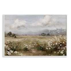 Stupell Industries Daisy Clusters in Field Framed Giclee, design by Jacky Ngan