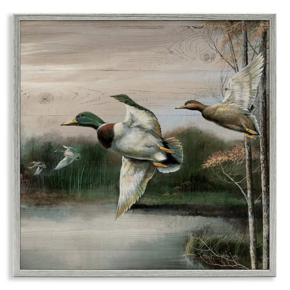 Stupell Industries Flying Ducks in Rustic Nature Framed Giclee Design by Ruane Manning