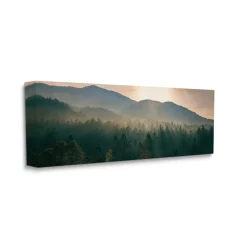 Stupell Industries Morning Sun over Misty Tree Forest Landscape Canvas Wall Art