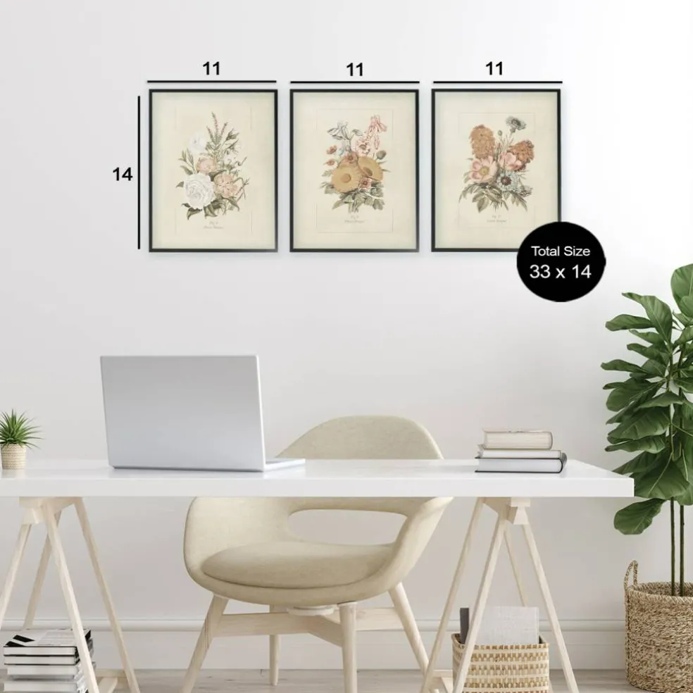 Stupell Industries Neutral Bouquet Studies 3pc Framed Giclee Set, design by Dan Meneely
