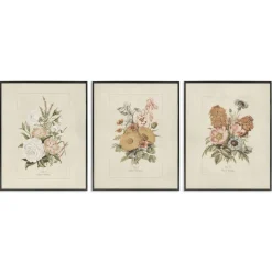 Stupell Industries Neutral Bouquet Studies 3pc Framed Giclee Set, design by Dan Meneely