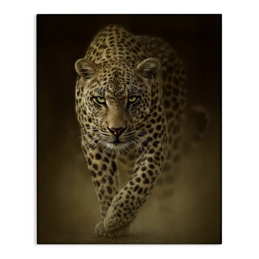 Stupell Industries Savage Leopard Predator Canvas, design by Collin Bogle