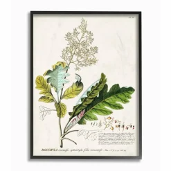 Stupell Industries Vintage Botanical Plant Illustration Framed Wall Art