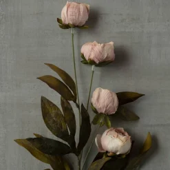Tan Peony Stem by Ashland®