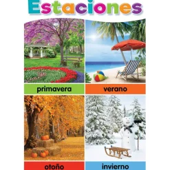 Teacher Created Resources® Spanish Colorful Early Learning Posters Set