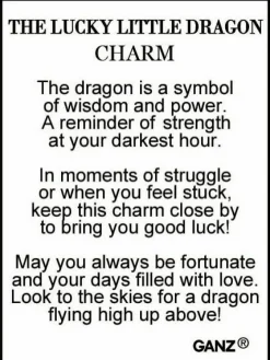 The Lucky Little Dragon Charm