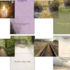 Thinking of You - Peaceful Paths