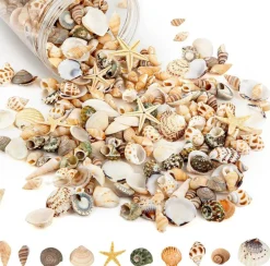 Tiny Natural Mixed Seashell & Starfish Set (6 Starfish + Mini Shells) – Ocean Beach Decor, Vase Fillers, DIY Crafts, Wedding & Fish Tank Coastal Decoration