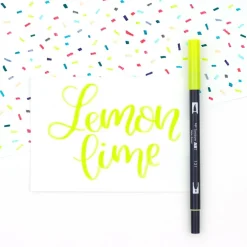 Tombow Dual Brush Pen