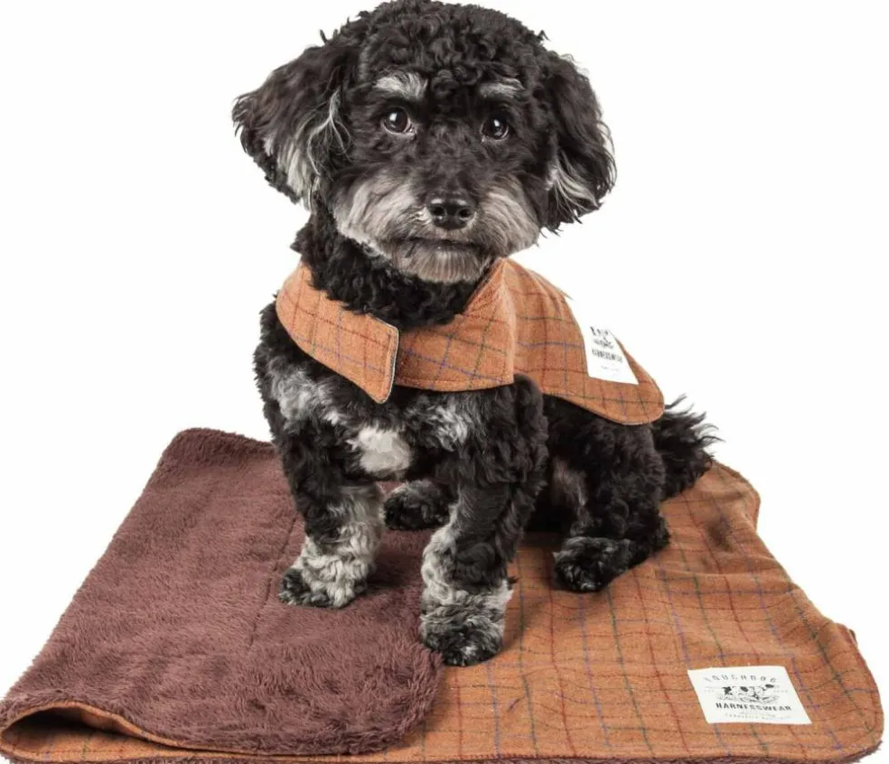 Touchdog 2-In-1 Windowpane Plaided Dog Jacket With Matching Reversible Dog Mat