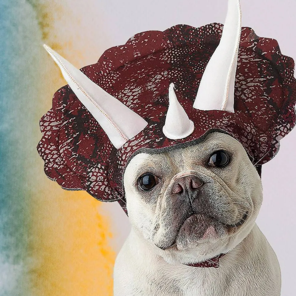 Triceratops Pet Costume with Headpiece and Horns for Dogs