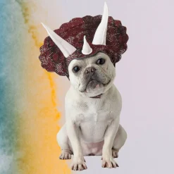 Triceratops Pet Costume with Headpiece and Horns for Dogs