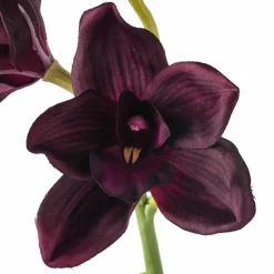 Tropical Cymbidium Spray by Ashland®