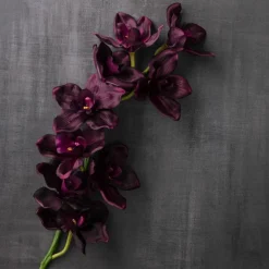 Tropical Cymbidium Spray by Ashland®