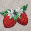 Two Strawberries with White Blossoms, Fruit, Embroidered, Iron on Patch