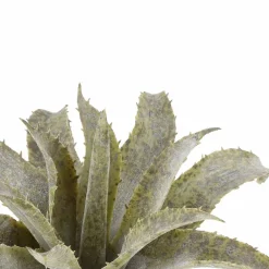 7.5" Two Toned Green Aloe Pick by Ashland®