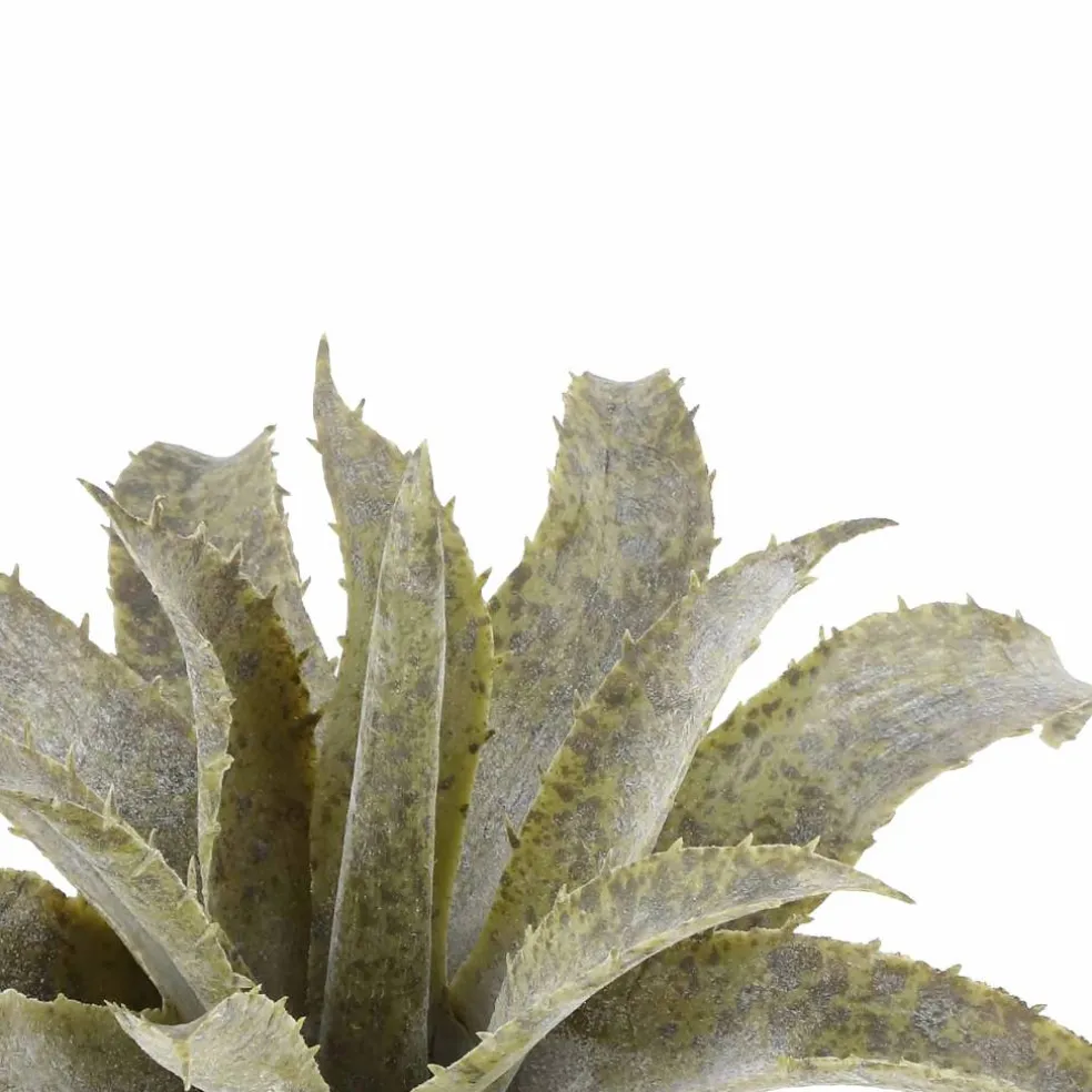 7.5" Two Toned Green Aloe Pick by Ashland®