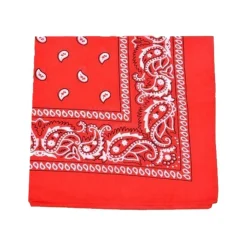Unibasic Paisley 100% Cotton Bandana XL, head wrap, handkerchief - 10 Pack