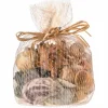 U.S. Shell Dark Shell Mix with Starfish Gift Pack
