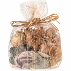 U.S. Shell Dark Shell Mix with Starfish Gift Pack