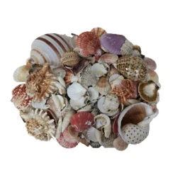 U.S. Shell Garden Bag