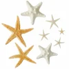 U.S. Shell Starfish Mix