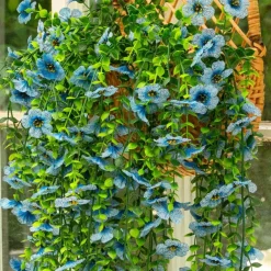 30