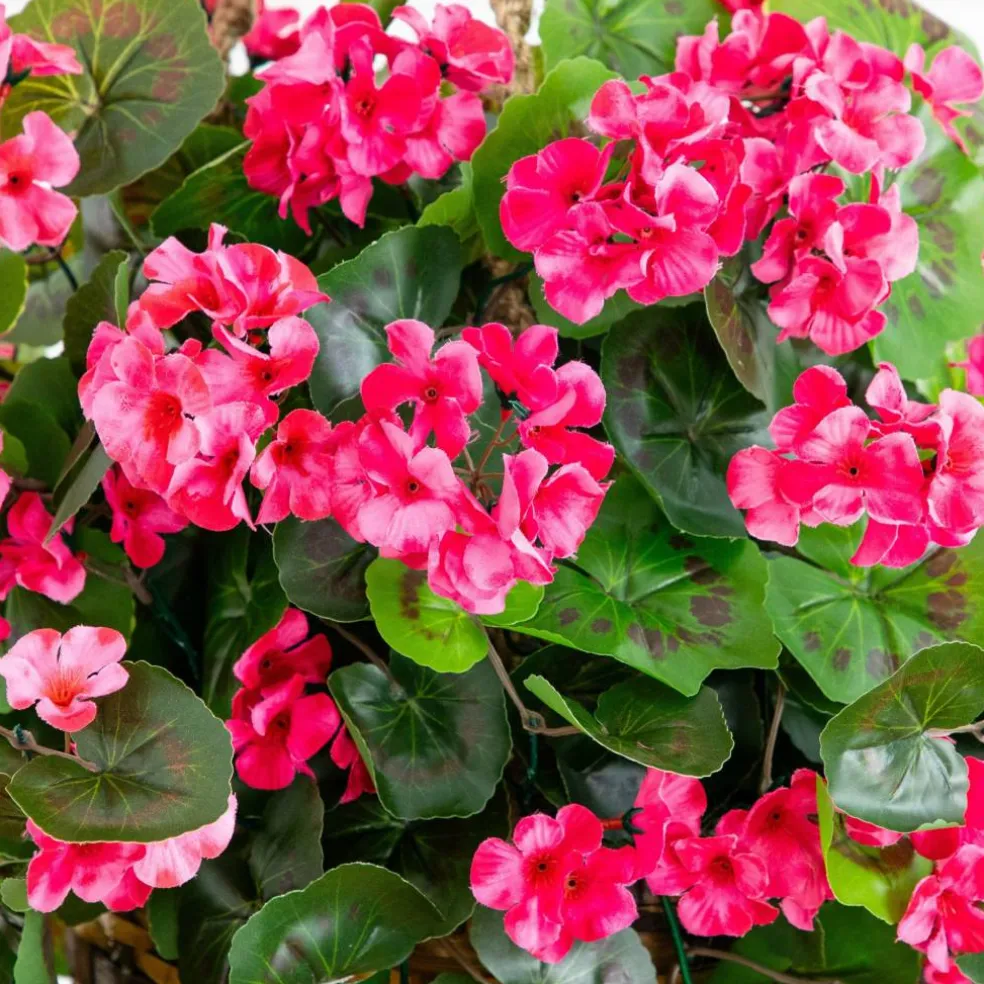 28" UV Resistant Artificial Geranium in Hanging Basket