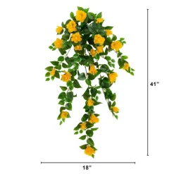 41