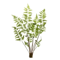 37" Varigated Fern Bundles with Sprout Accents, 6ct.